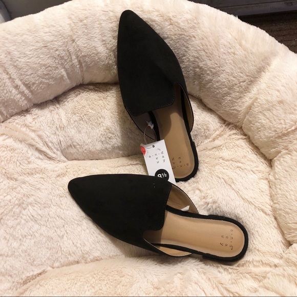 a new day mules